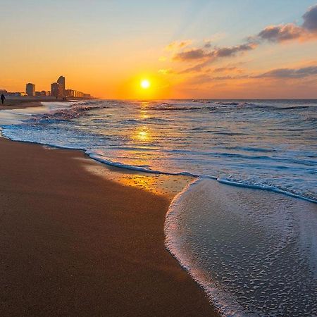 Wanderlust Belgium Oostende Ngoại thất bức ảnh